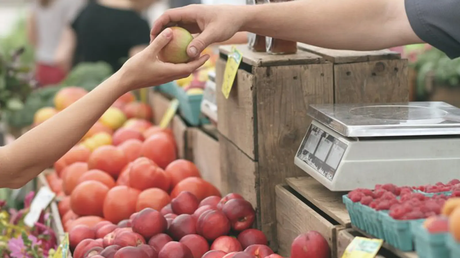 Segurança Alimentar